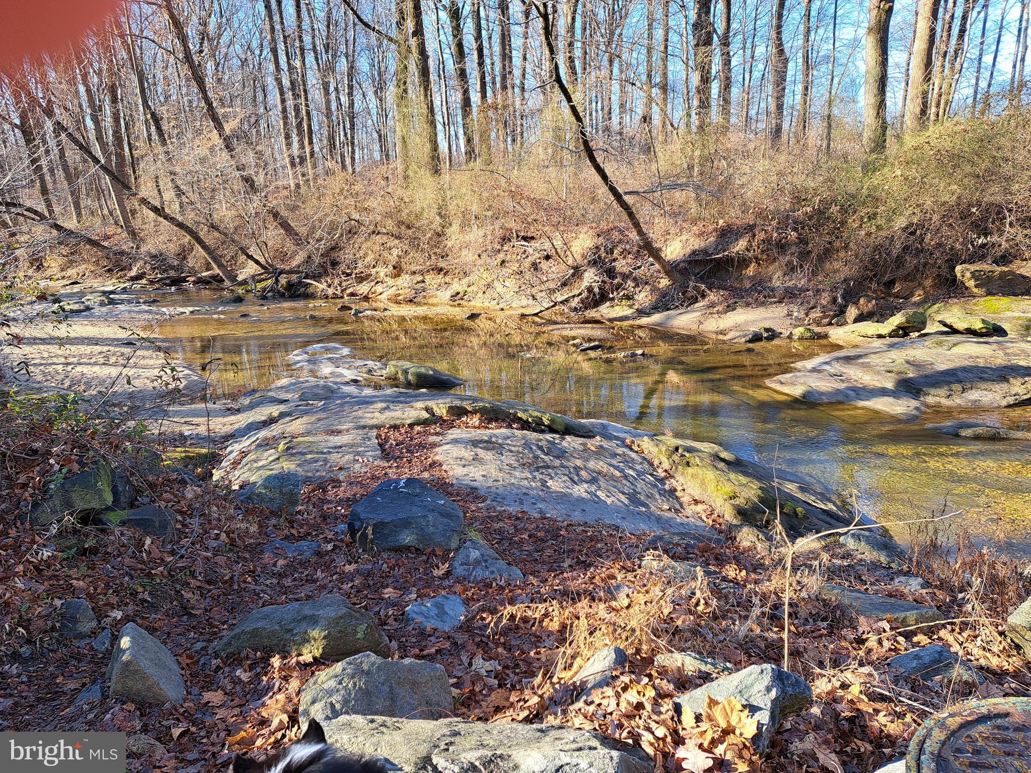 4607 Powder Mill Road Beltsville, MD 20705 - Photo 95 of 110 Enjoy the peace and quiet along the trail ...
