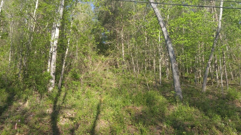 0 Ashley Lane Dayton, TN 37321 - Photo 1 of 1