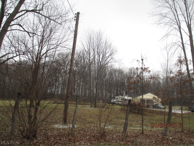 10430 Dewhurst Road Elyria, OH 44035 - Photo 4 of 10 Gallery Image 4