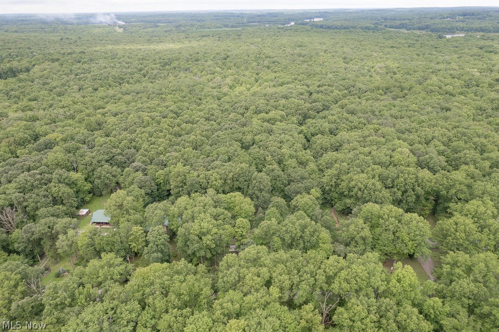 18620 Shaw Road Chagrin Falls, OH 44023 - Photo 35 of 44 Expansive wooded acreage featuring a single-story dwelling with a green roof, surrounded by mature deciduous trees