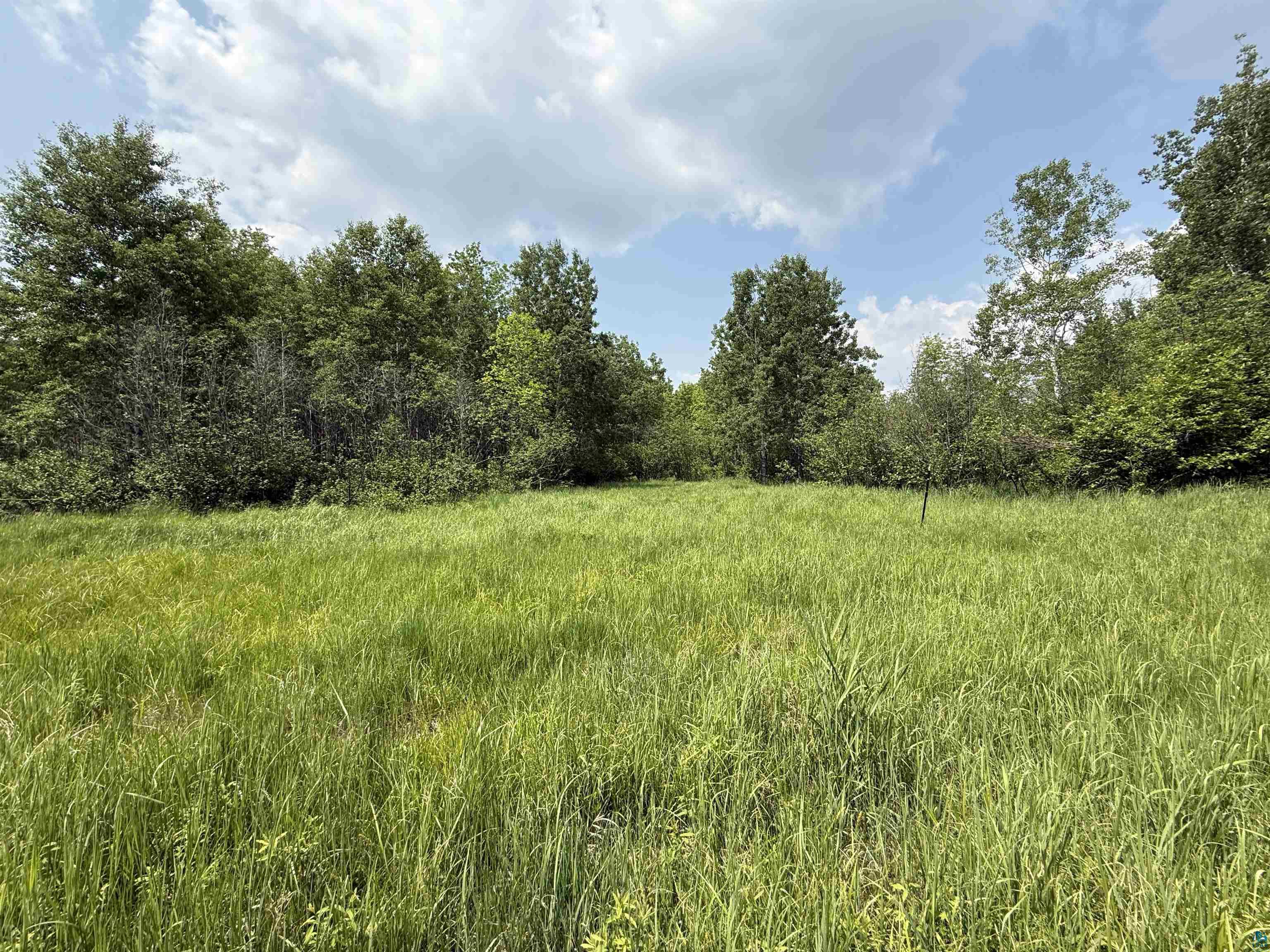 Tbd Samuelson Road Angora, MN 55703 - Photo 11 of 43 View of nature