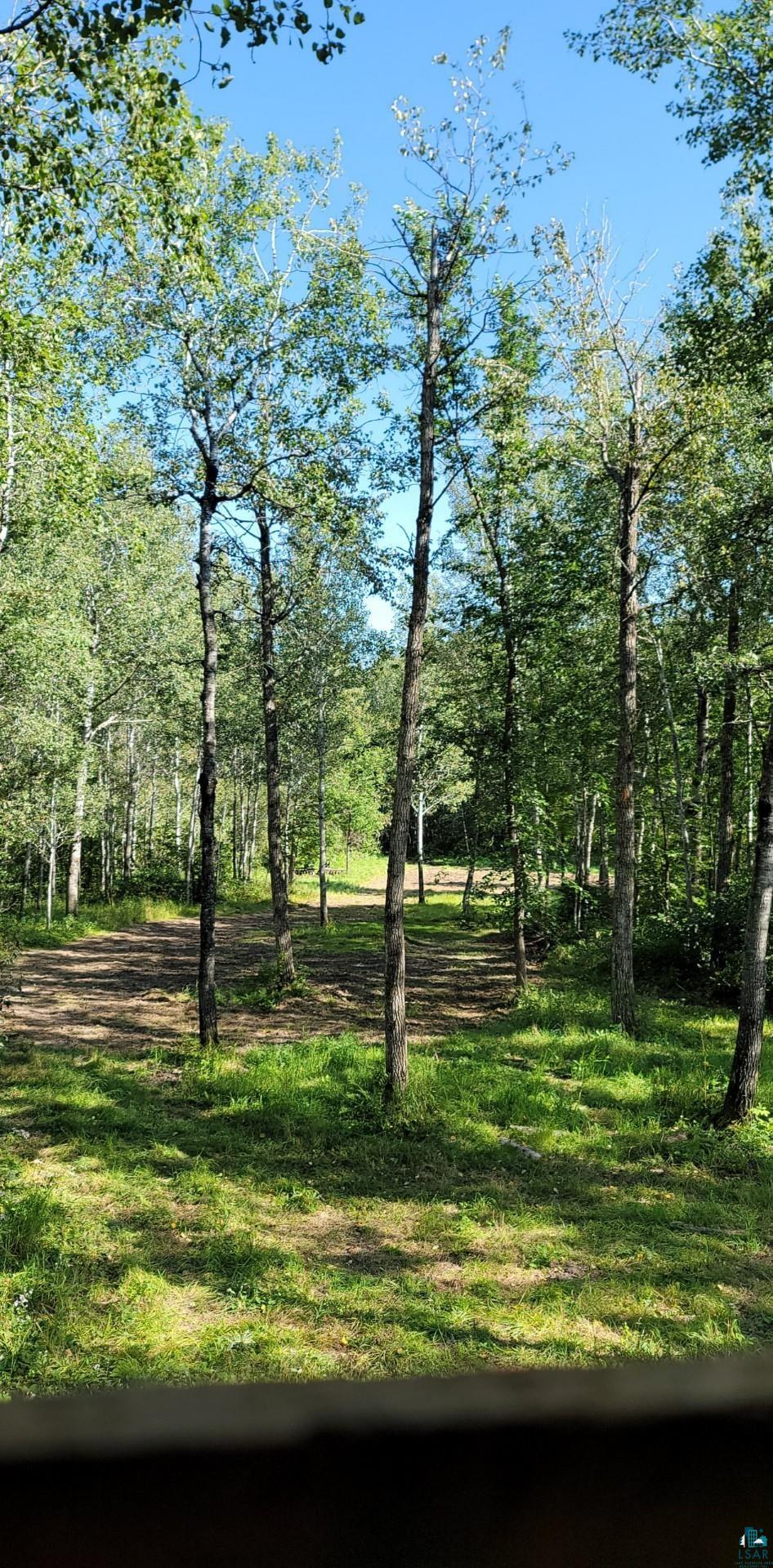 Tbd Samuelson Road Angora, MN 55703 - Photo 12 of 43 View of nature