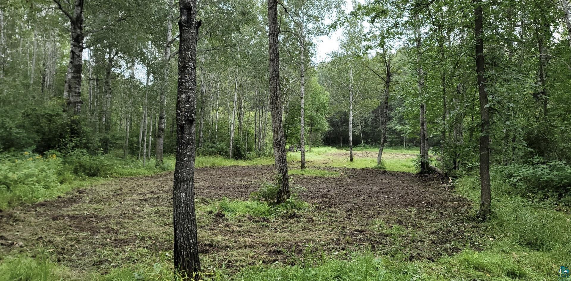Tbd Samuelson Road Angora, MN 55703 - Photo 13 of 43 View of landscape with a forest view