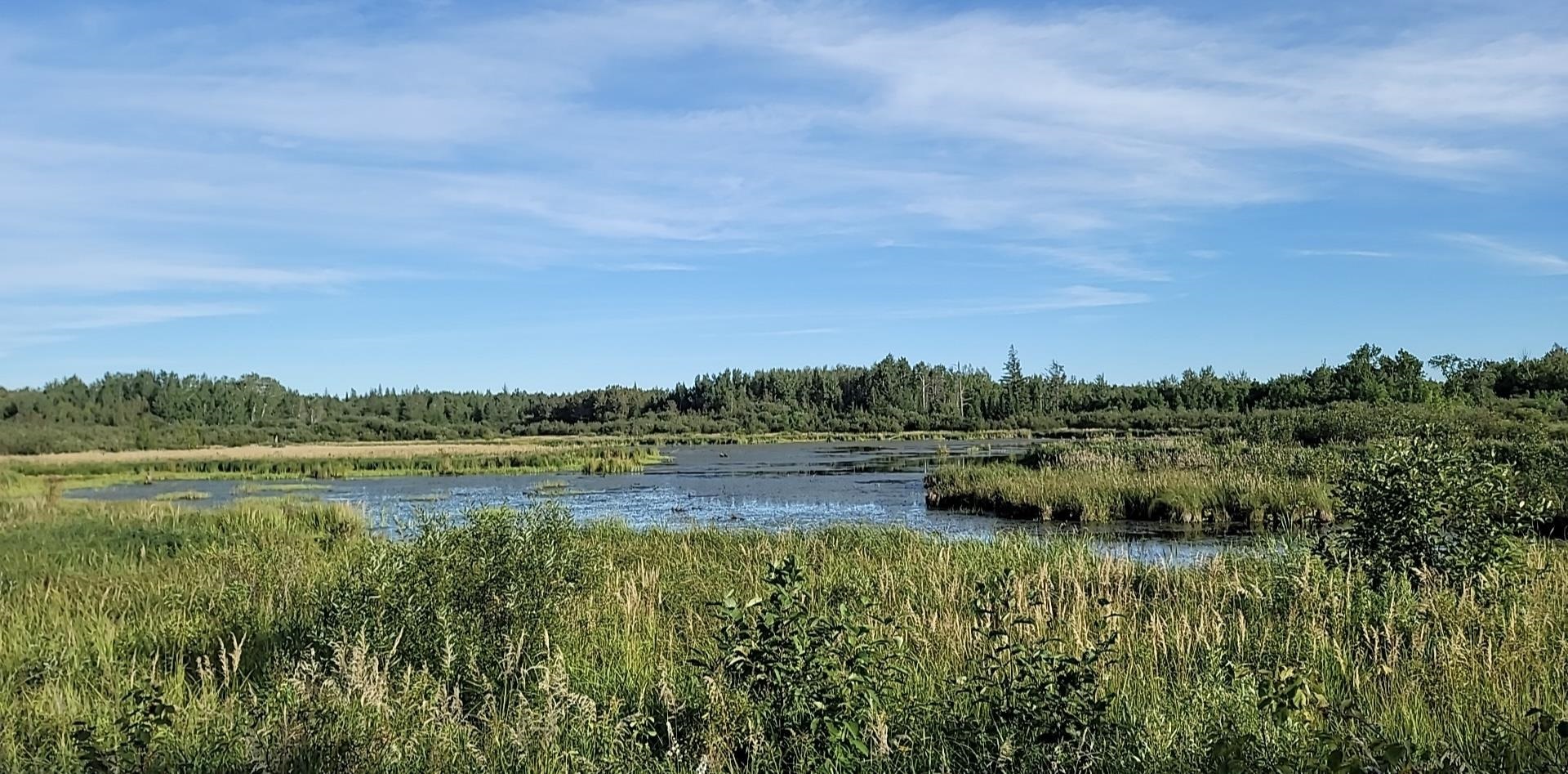 Tbd Samuelson Road Angora, MN 55703 - Photo 14 of 43 View of water feature with a view of trees