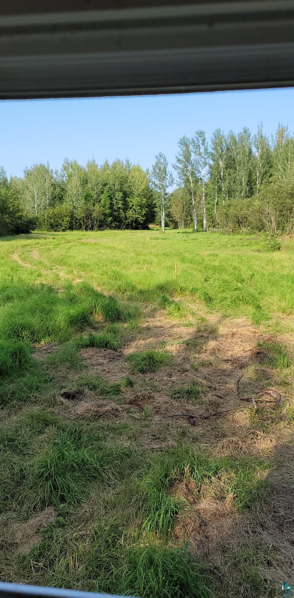 Tbd Samuelson Road Angora, MN 55703 - Photo 15 of 43 View of yard