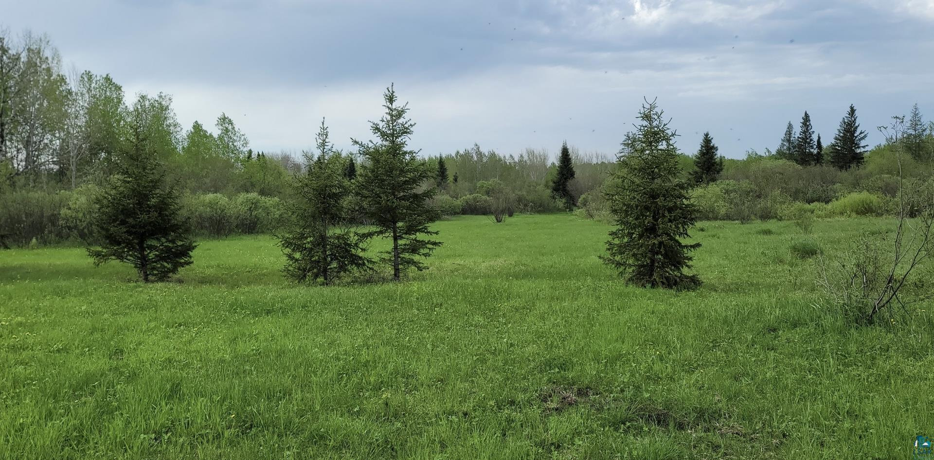 Tbd Samuelson Road Angora, MN 55703 - Photo 18 of 43 View of landscape
