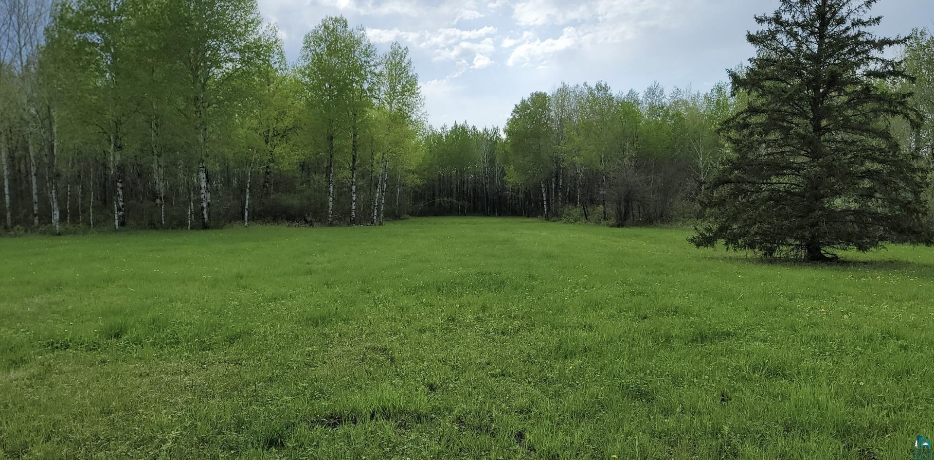 Tbd Samuelson Road Angora, MN 55703 - Photo 19 of 43 View of yard