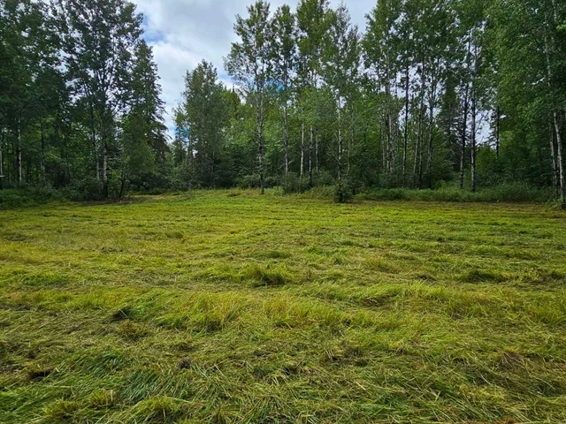 $230,000 | Tbd Samuelson Road, Angora, MN 55703