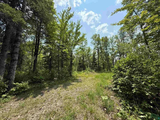 $230,000 | Tbd Samuelson Road, Angora, MN 55703