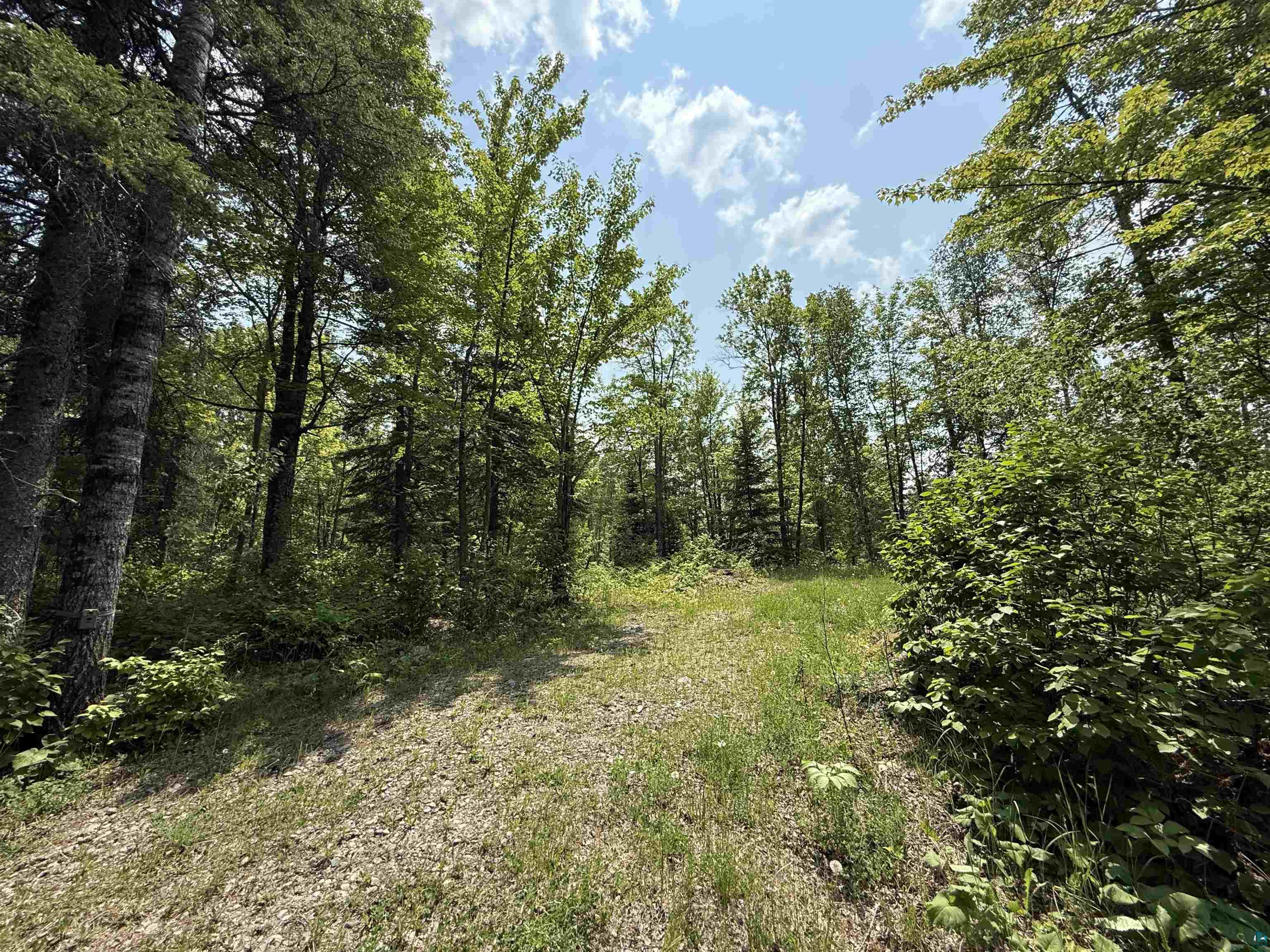 Tbd Samuelson Road Angora, MN 55703 - Photo 27 of 43 View of undeveloped land