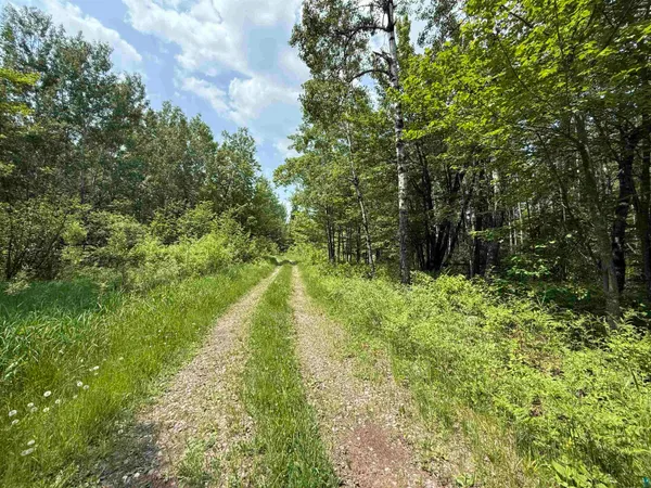 $230,000 | Tbd Samuelson Road, Angora, MN 55703