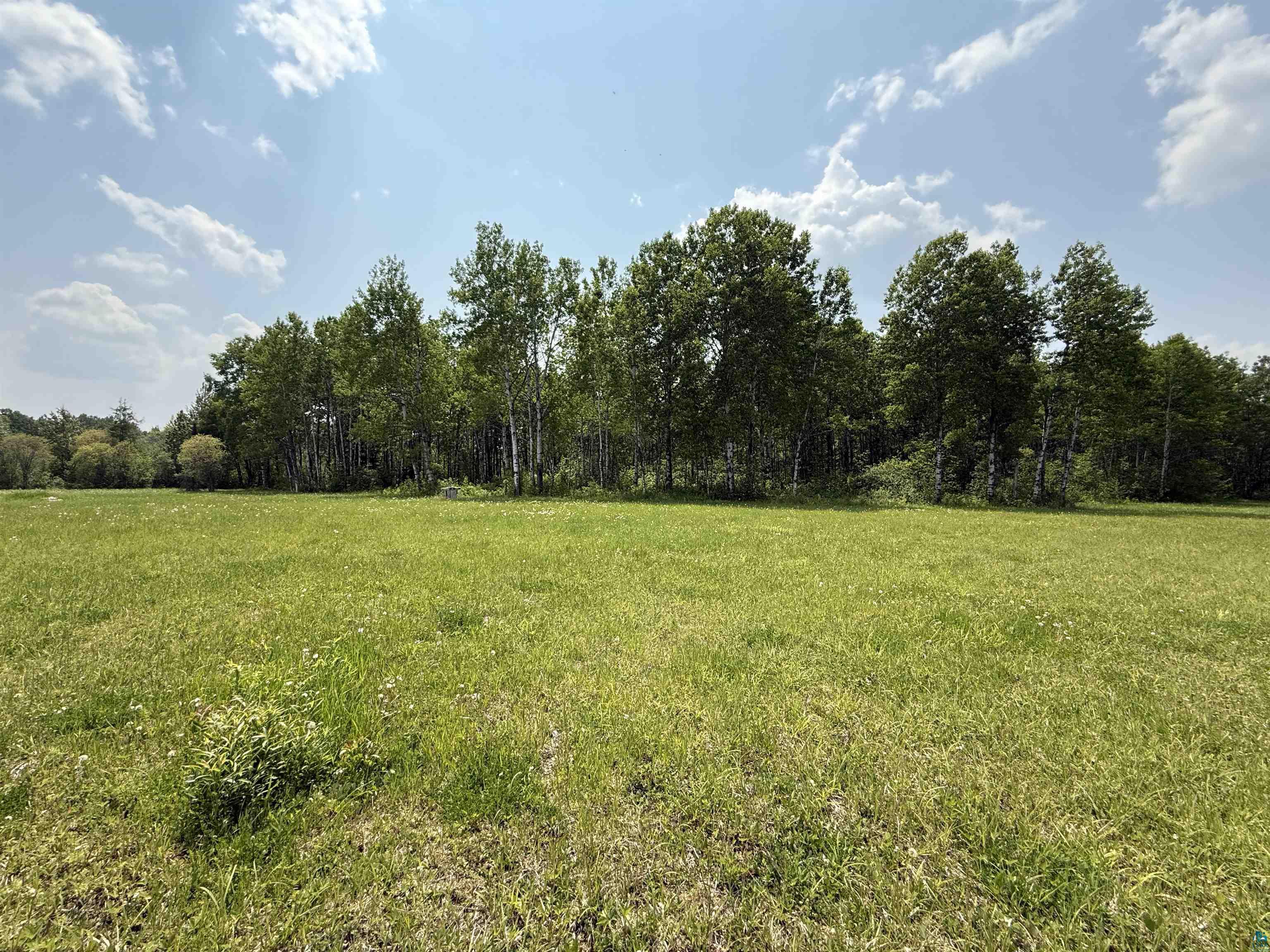 Tbd Samuelson Road Angora, MN 55703 - Photo 33 of 43 View of green lawn featuring a forest view