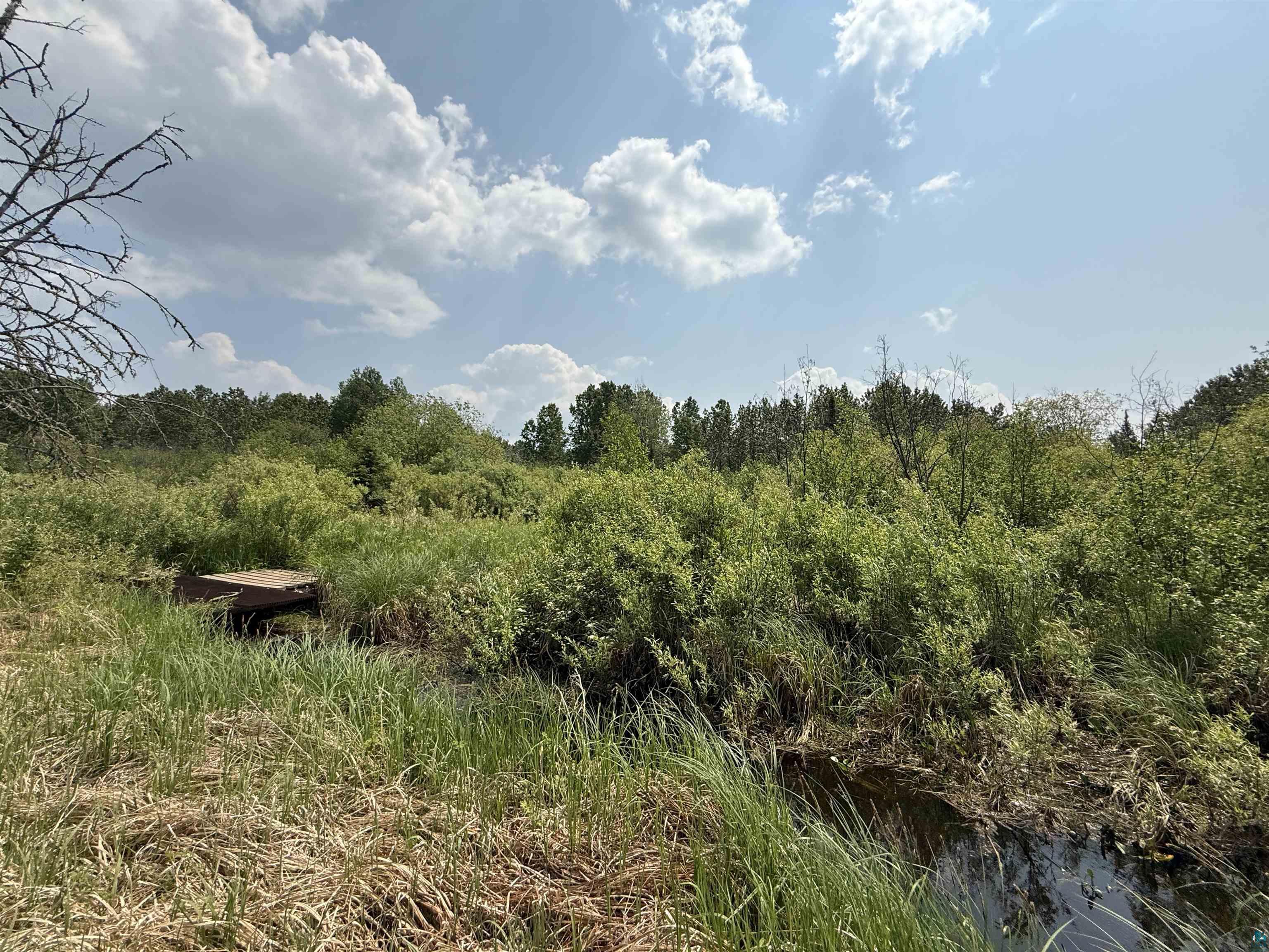 Tbd Samuelson Road Angora, MN 55703 - Photo 36 of 43 View of local wilderness