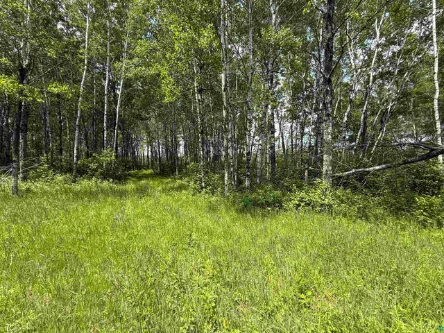 $230,000 | Tbd Samuelson Road, Angora, MN 55703