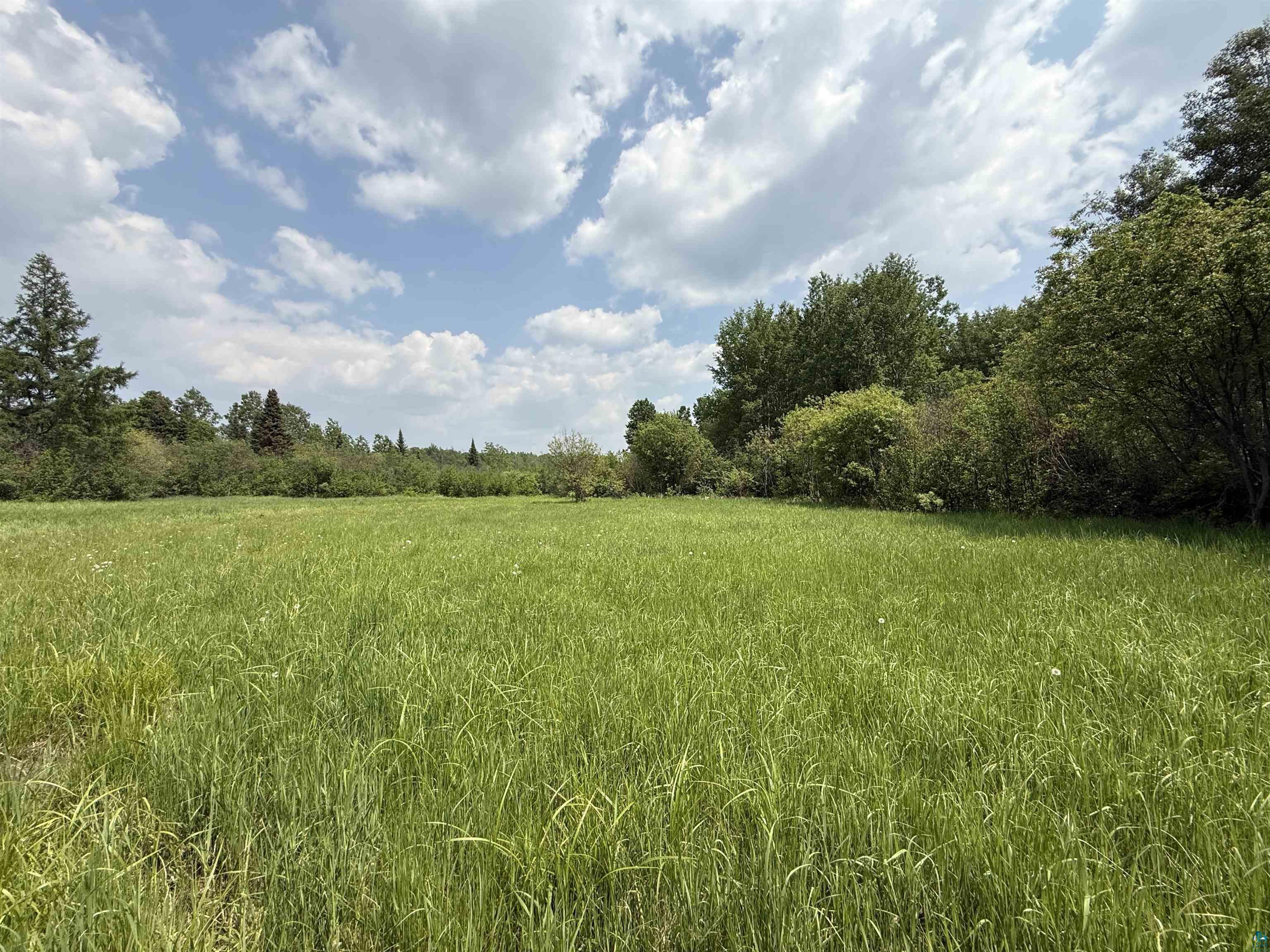 Tbd Samuelson Road Angora, MN 55703 - Photo 42 of 43 View of nature featuring rural landscape