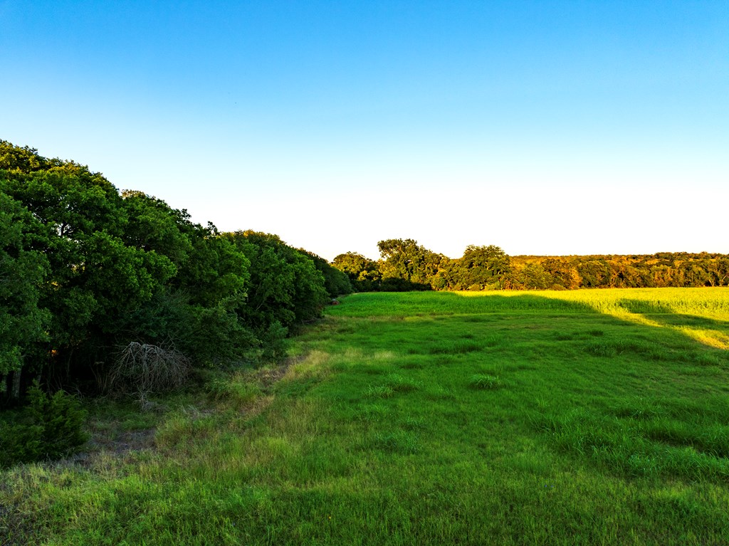 33-acres Lower Albert Road Stonewall, TX 78671 - Photo 11 of 39 Gallery Image 11