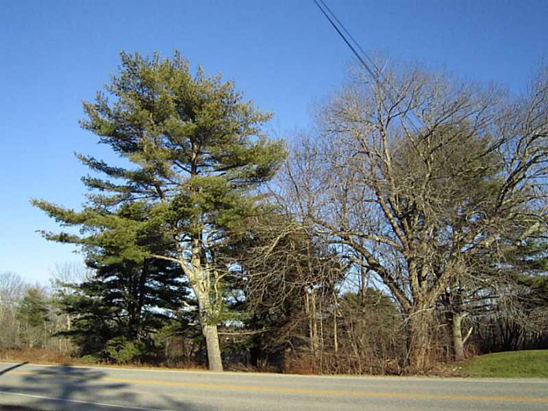 Lot 37 Christian Ridge Road Ellsworth, ME 04605 - Photo 16 of 26 Exterior Front.