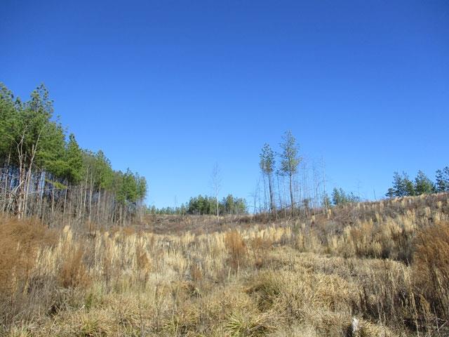 220 Bus Road Stoneville, NC 27048 - Photo 13 of 40 Gallery Image 13