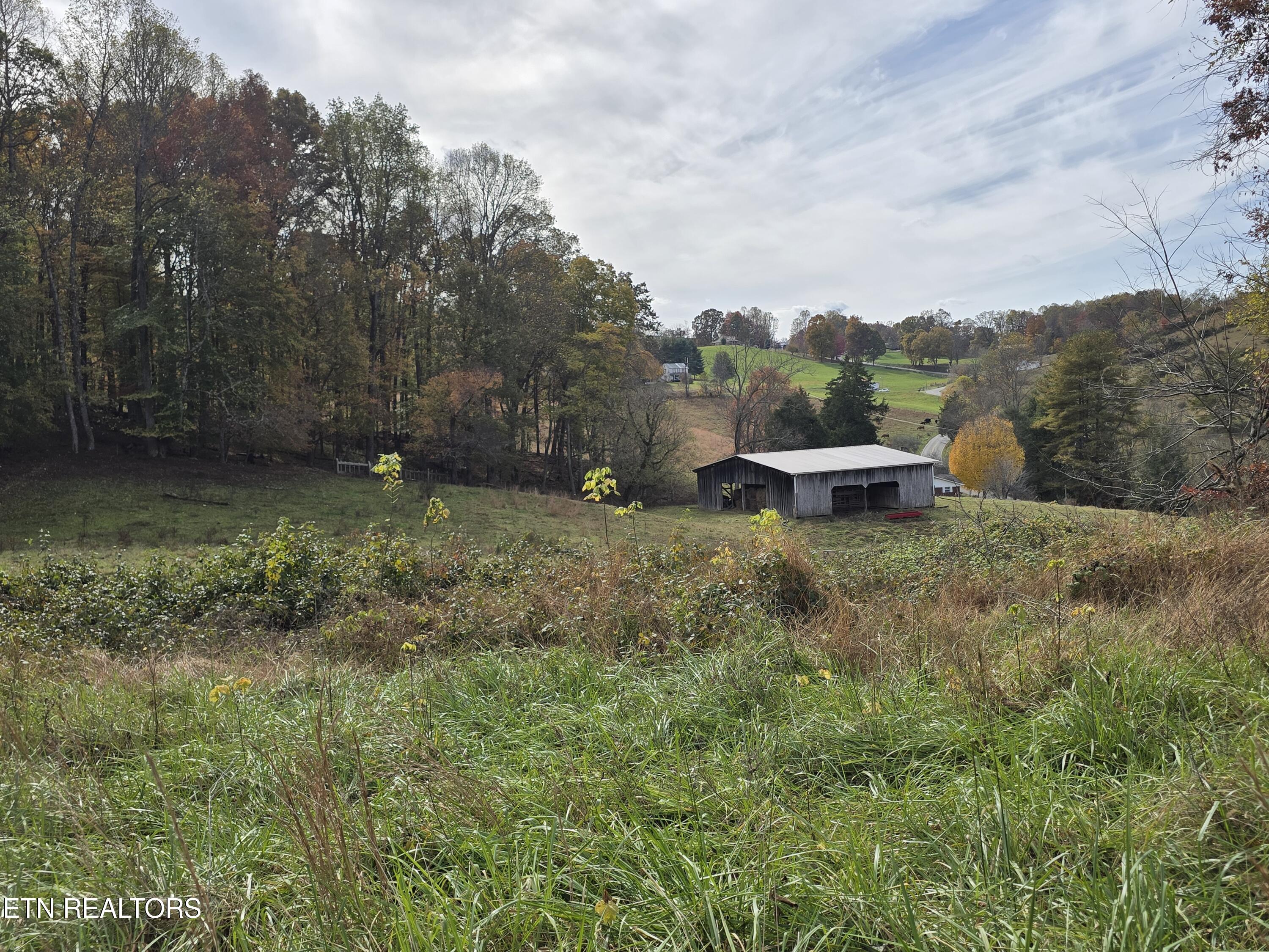 201 Elihu Road Sneedville, TN 37869 - Photo 4 of 13 20251101_144317