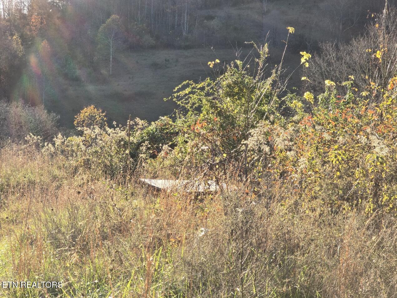 201 Elihu Road Sneedville, TN 37869 - Photo 6 of 13 20251108_162601