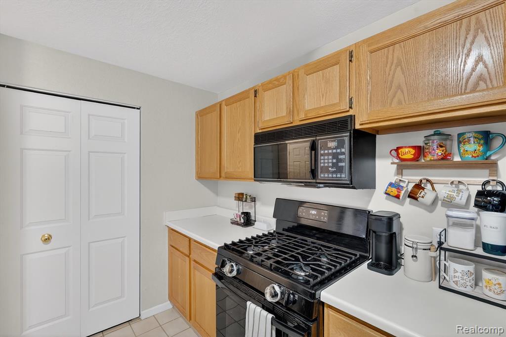 613 Curzon Court, Unit 203 Howell, MI 48843 - Photo 10 of 34 Gallery Image 10