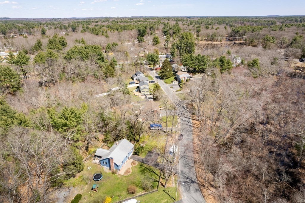 9 Bailey Lane Georgetown, MA 01833 - Photo 37 of 42 a view of a forest with trees and houses
