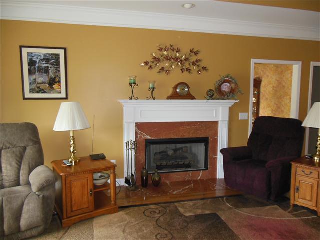 3011 Burts Crossing Springfield, TN 37172 - Photo 3 of 20 Nice fireplace with gas logs for cozy nights ahead