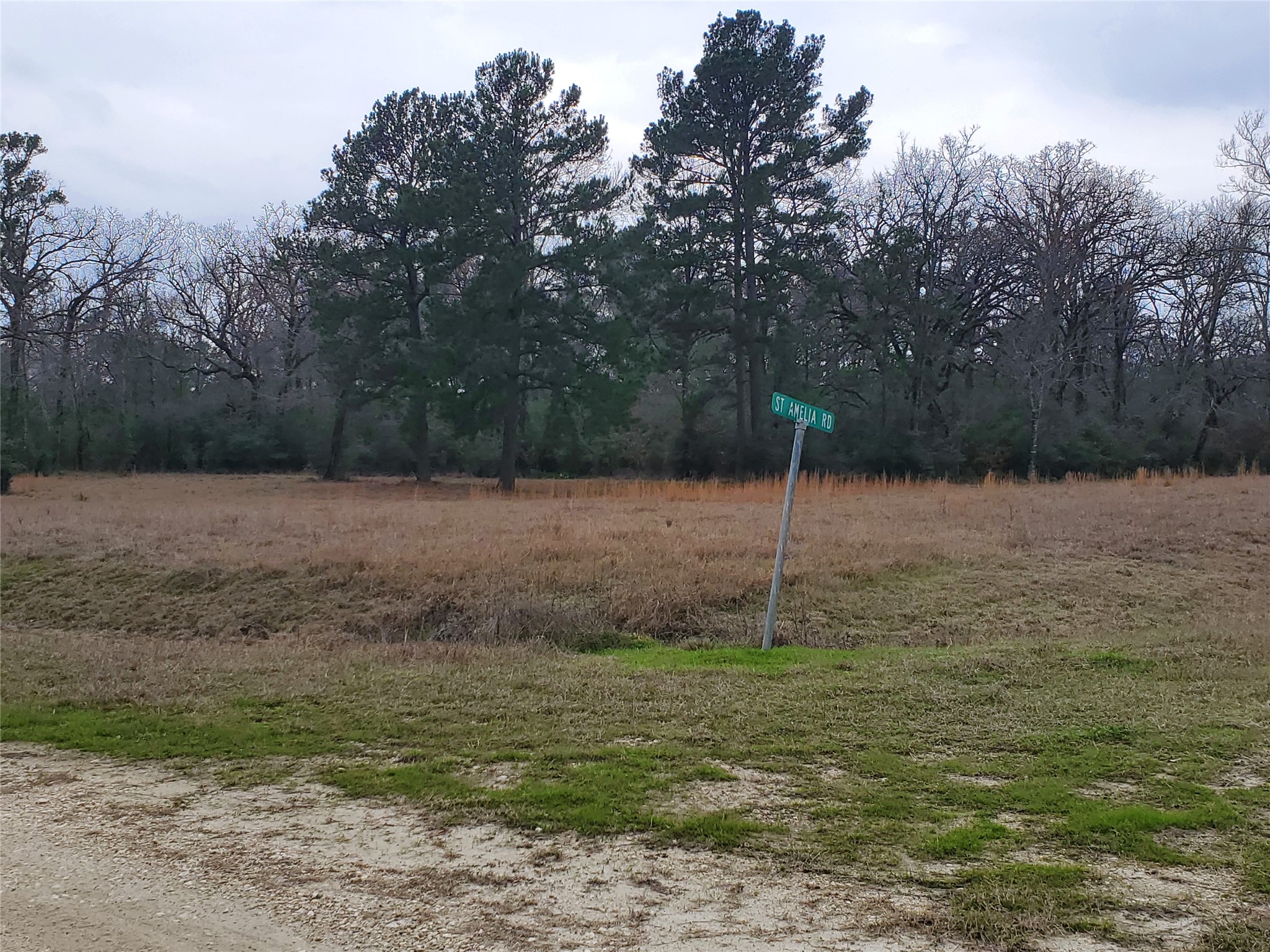 Lot 1-2 Oakley Road Trinity, TX 75862 - Photo 13 of 23 Gallery Image 13