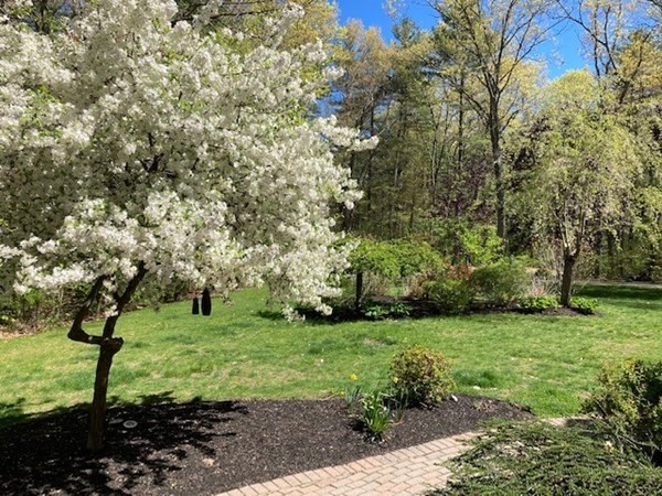 86 Frye Road Bolton, MA 01740 - Photo 4 of 42