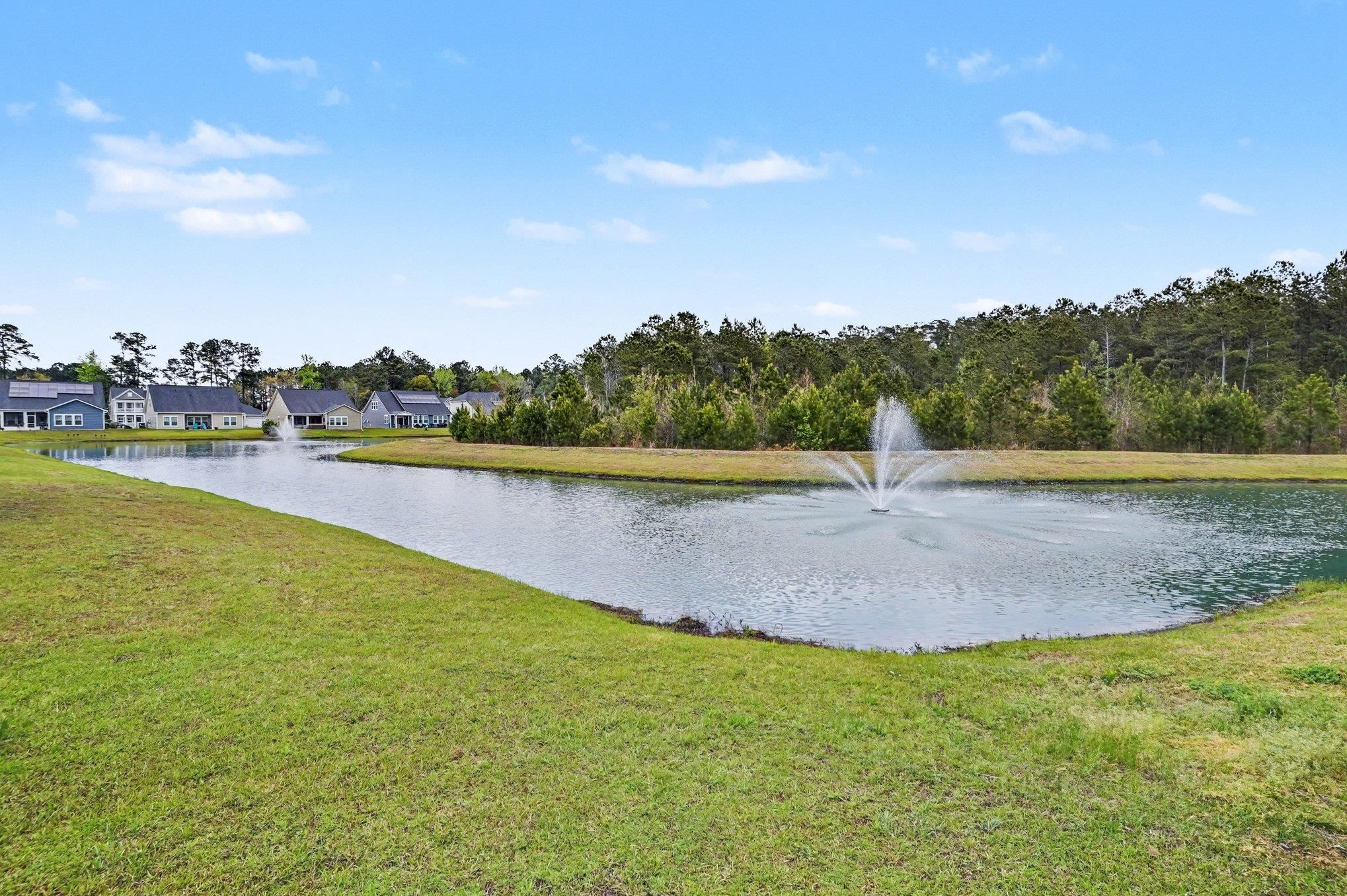 245 Craigflower Court Longs, SC 29568 - Photo 26 of 30