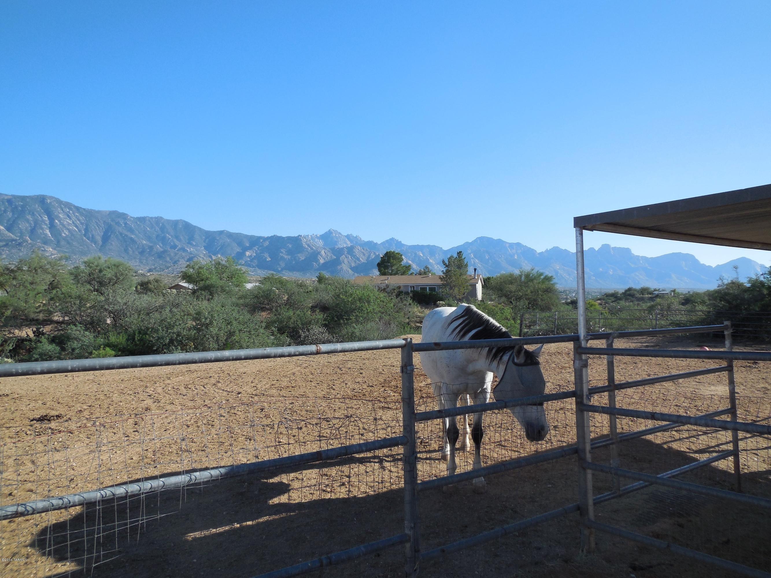 16240 North Meadowcrest Road Tucson, AZ 85739 - Photo 33 of 36 Gallery Image 33