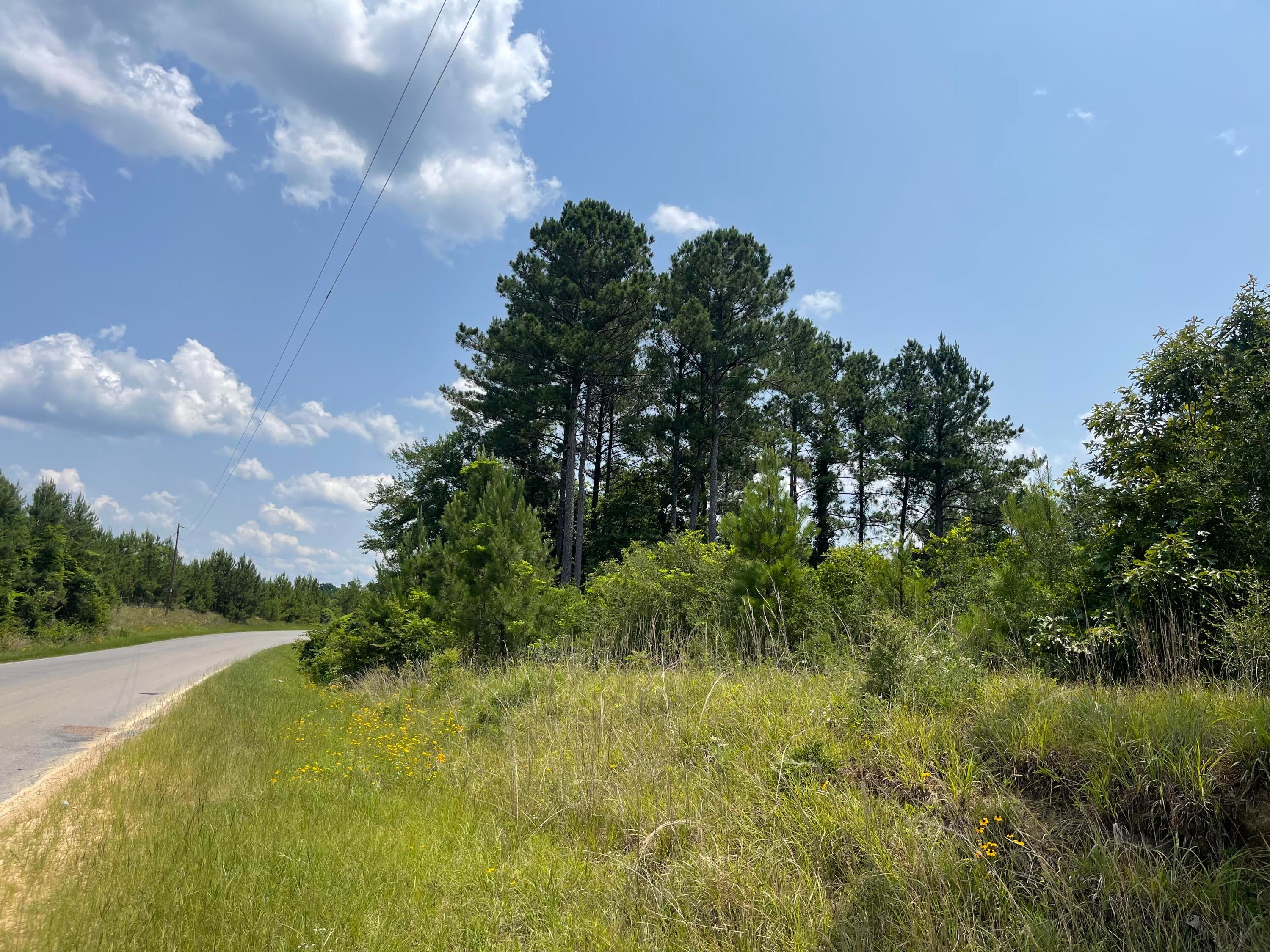 0 Pleasant Grove Road Laurel, MS 39443 - Photo 16 of 20 IMG_6106
