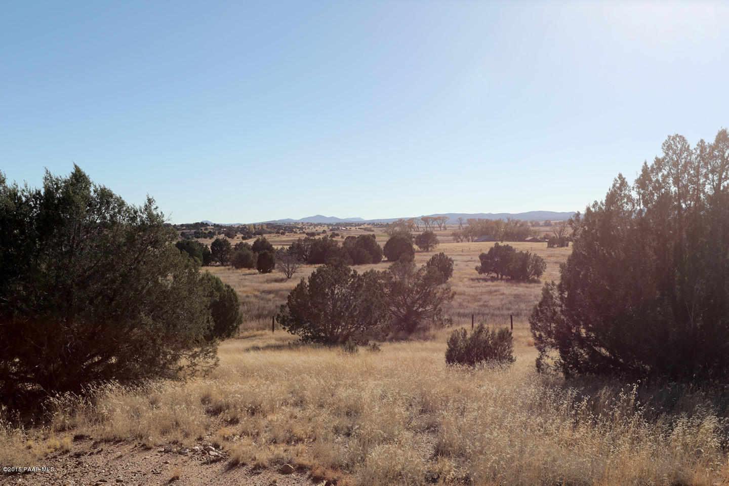 19925 North Lower Territory Road Prescott, AZ 86305 - Photo 35 of 41 a view of a dry yard with mountains in the background