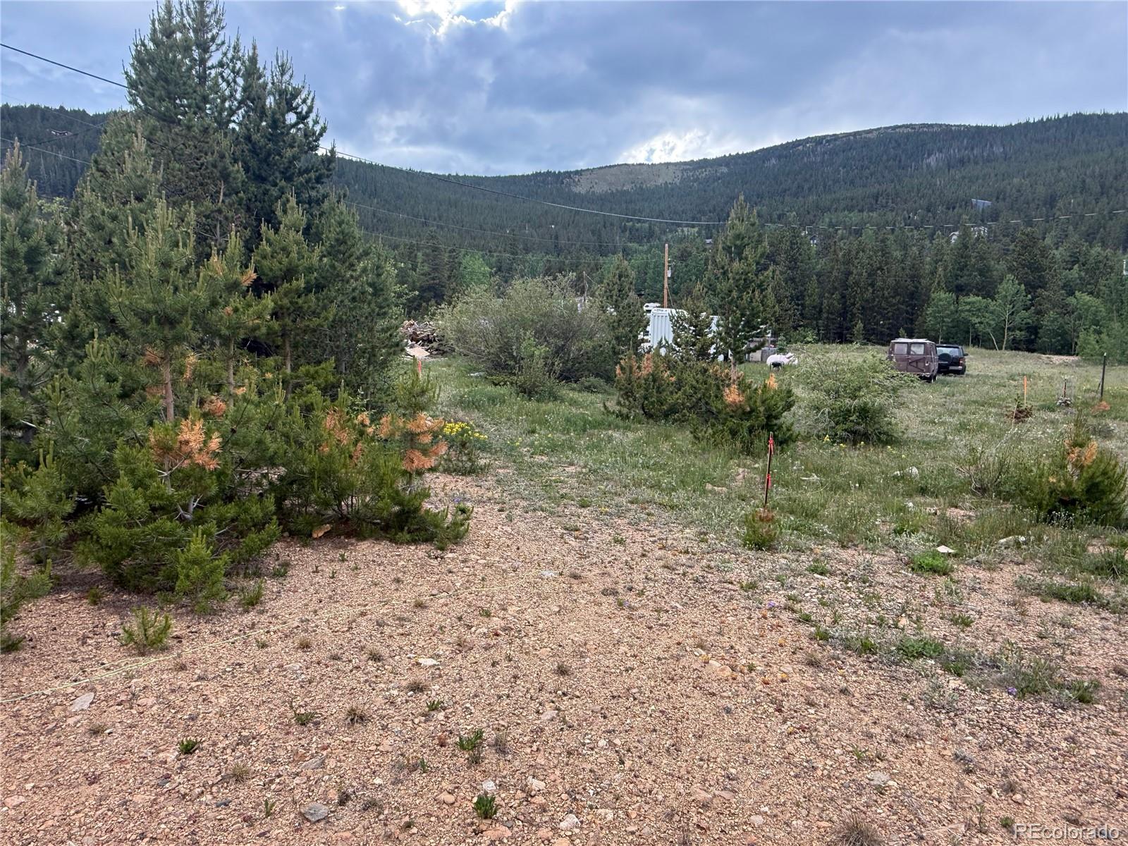 603 Aspen Road Idaho Springs, CO 80452 - Photo 7 of 17 Gallery Image 7