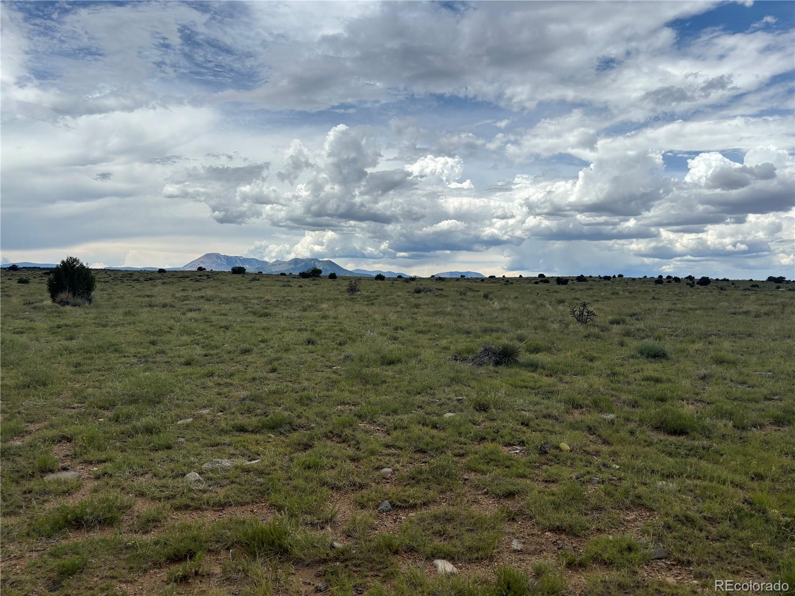 Tbd Walsenburg, CO 81089 - Photo 3 of 5 a view of a field with lots of trees in background