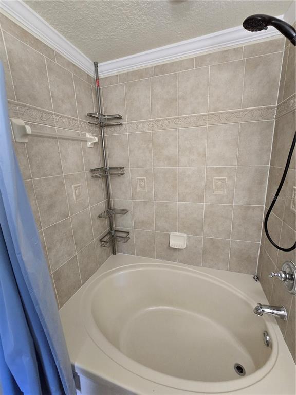 6262 Maisai Road Zephyrhills, FL 33542 - Photo 12 of 19