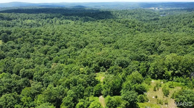 $14,500 | 0 Madison 247, Fredericktown, MO 63645