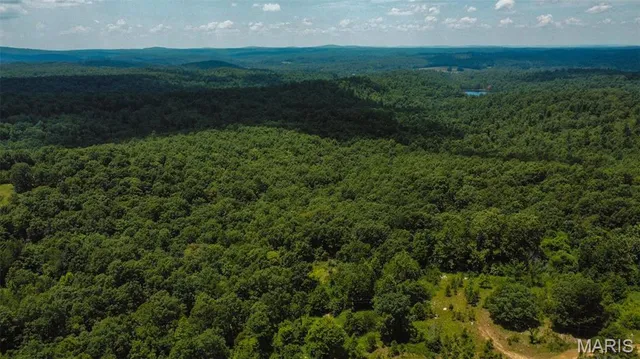 $14,500 | 0 Madison 247, Fredericktown, MO 63645