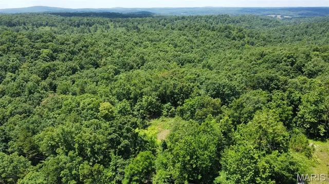 $14,500 | 0 Madison 247, Fredericktown, MO 63645