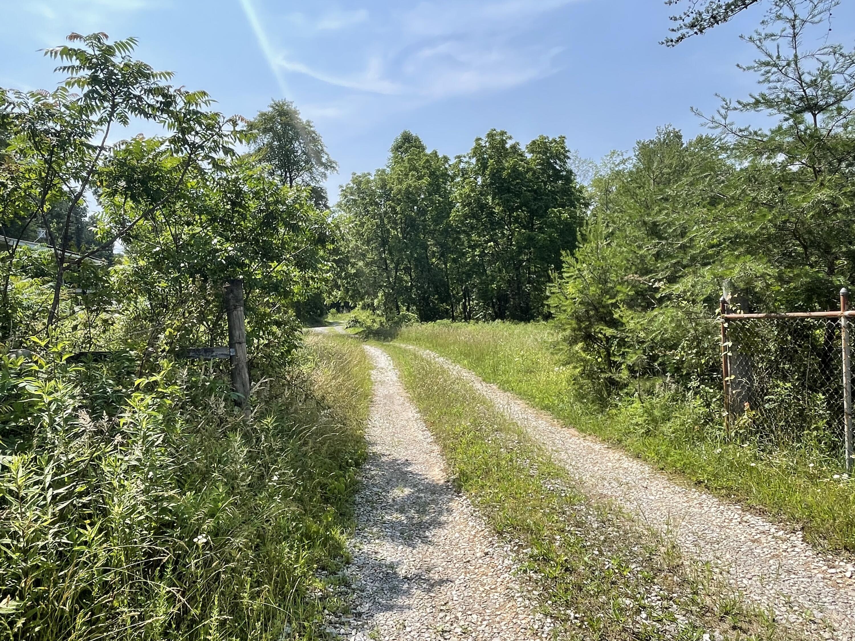 4750 Thomas And Smith Road Pikeville, TN 37367 - Photo 19 of 19 IMG_5771