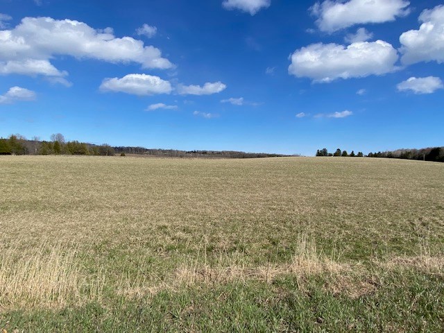 Tbd Mathey Road Sturgeon Bay, WI 54235 - Photo 4 of 4 Gallery Image 4