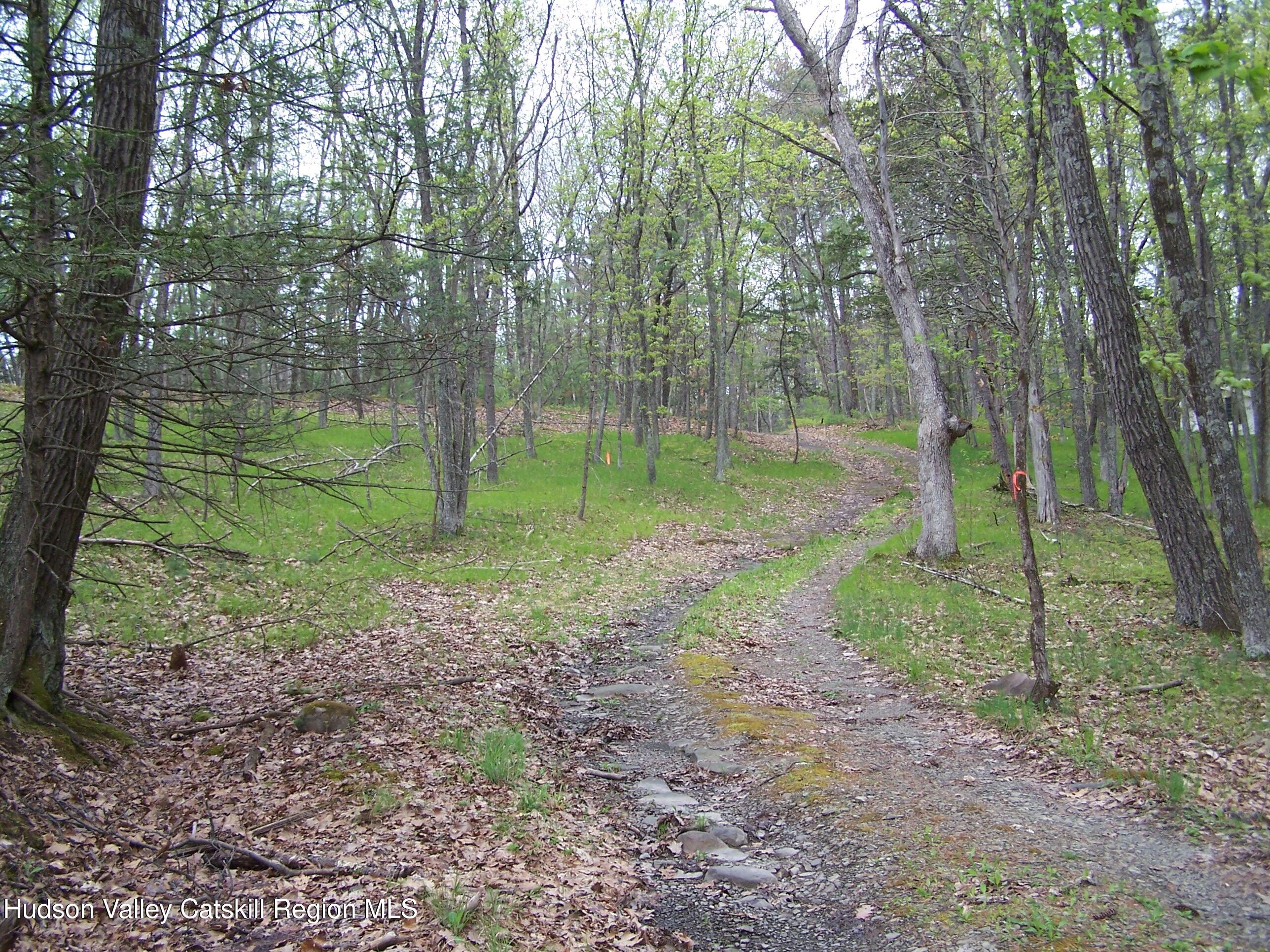 Tbd Heinle Road Kingston, NY 12401 - Photo 15 of 17 d15