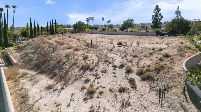 a view of a dry yard with mountains in the background