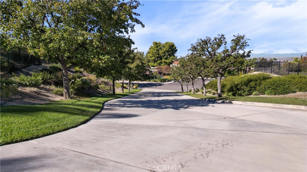 6204 Claridge Drive Riverside, CA 92506 - Photo 16 of 27 Driveway north view flanked by mature trees