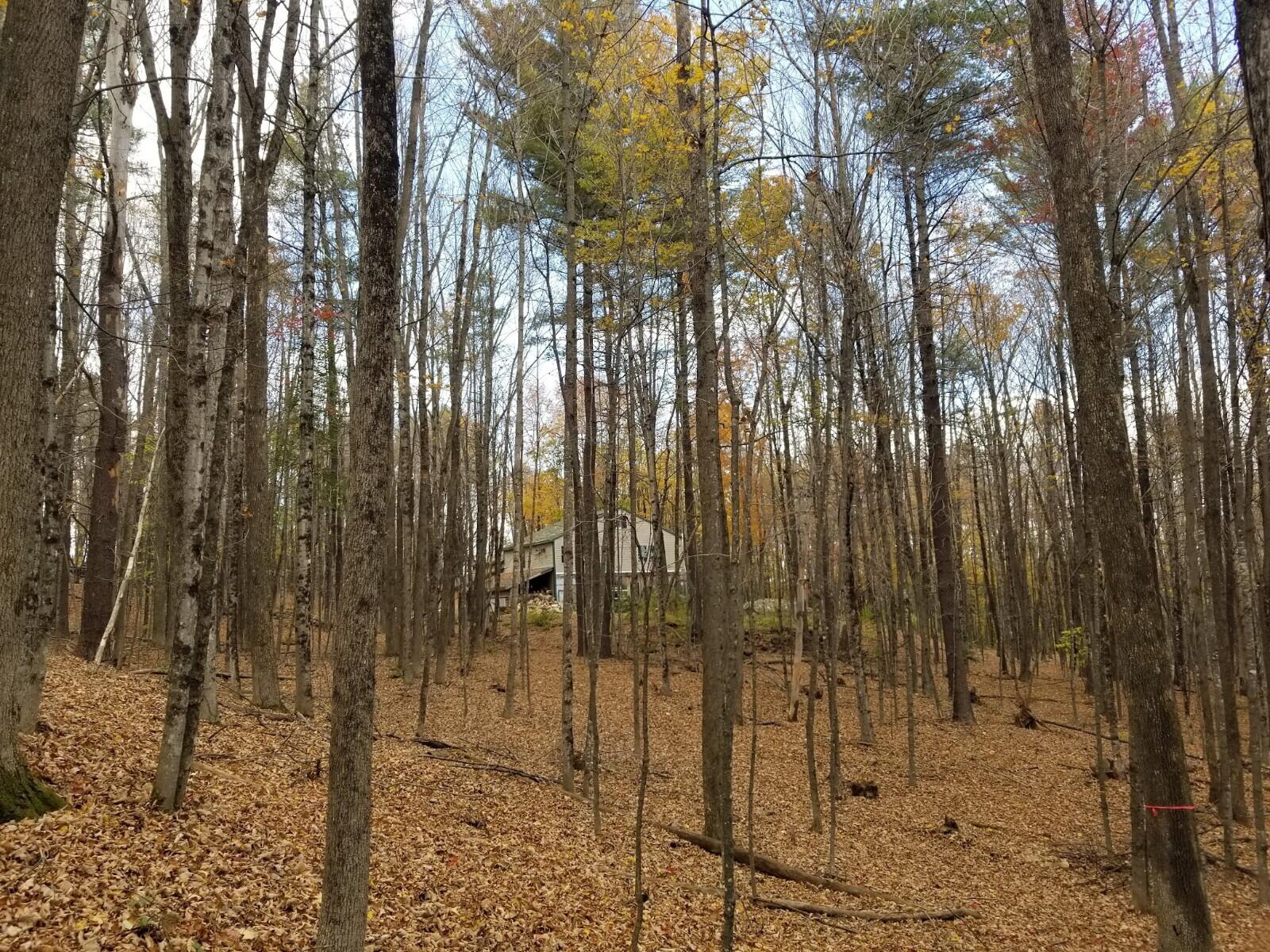 38 Loring Hill Road Buckfield, ME 04220 - Photo 28 of 33 20211014_132033