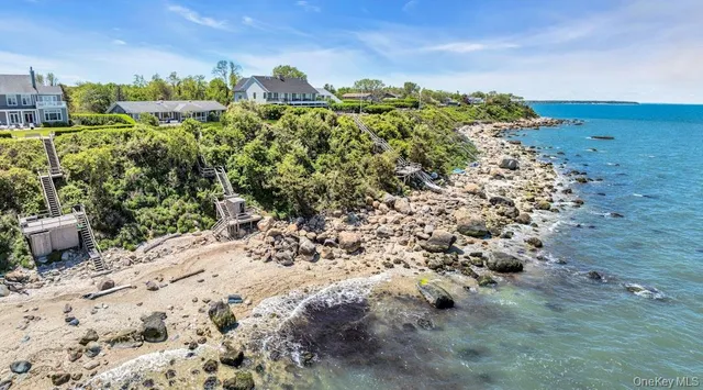 a view of a bunch of trees and bushes