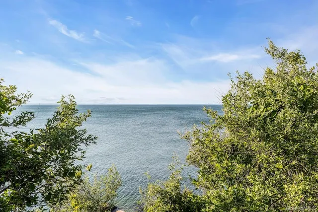 a view of a big garden with plants and large trees