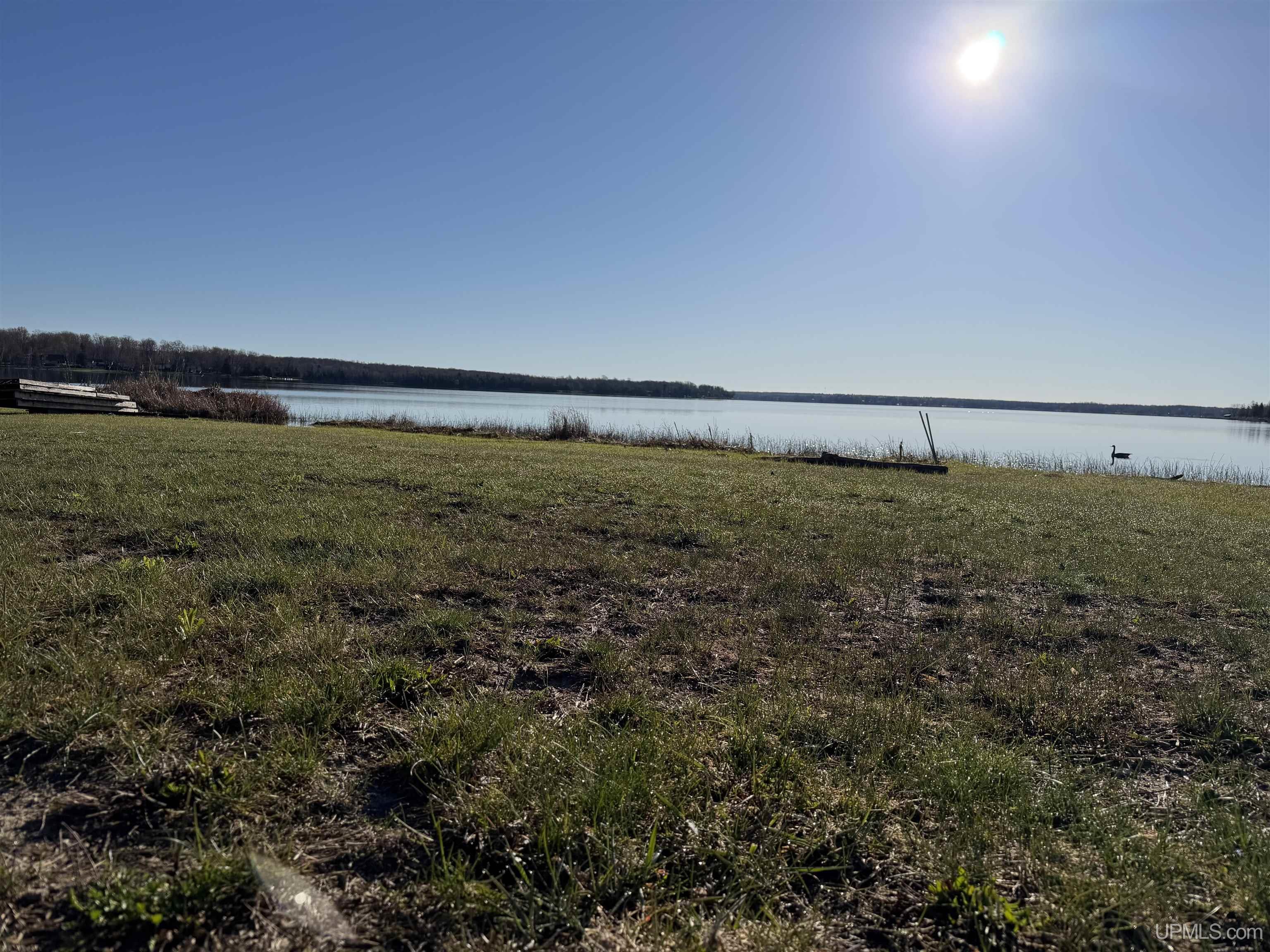 Tbd Long Point Road Germfask, MI 49836 - Photo 14 of 24