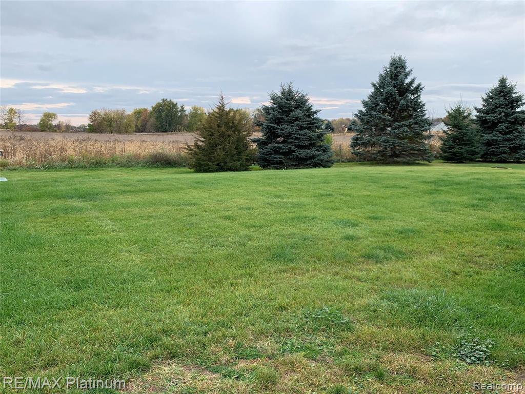 4620 Beard Road Byron, MI 48418 - Photo 6 of 19