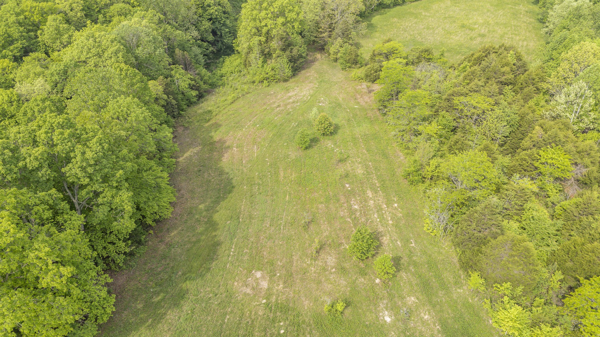 175 Chickasaw Cove Road Waynesboro, TN 38485 - Photo 11 of 37